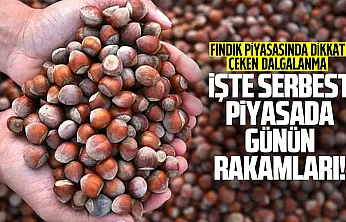 Giresun mu, Samsun mu? 22 Eylül fındık fiyatlarında zirvede kim var?