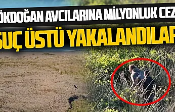 Gökdoğan avcıları suçüstü yakalandı