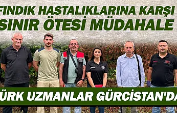 Gürcistan'da Kuruyan Fındık Bahçelerine Türk Uzmanlardan İnceleme