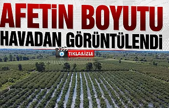 Hasada hazırlanan fındık bahçelerini sağanak vurdu