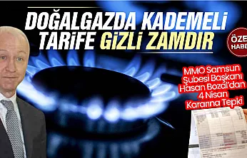 Hasan Bozal, 'Doğalgazda kademeli tarife gizli zamdır'