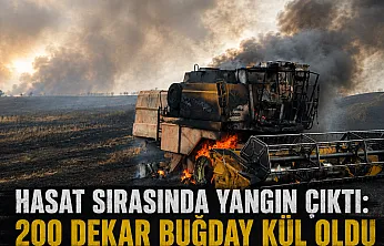 Hasat sırasında yangın çıktı: 200 dekar buğday kül oldu