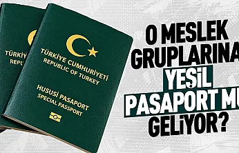 Hekim ve eczacılara yeşil pasaport için kanun teklifi