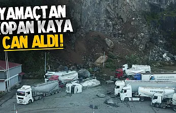 Hopa'da heyelan faciası: Kaya parçaları tır parkına düştü