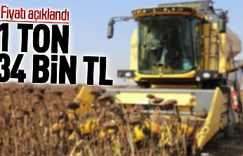 Karadeniz bölgesinde ayçiçeği fiyatı yüzde 17 artışla 34 bin liraya yükseldi