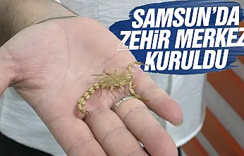 Karadeniz Bölgesinin ilk akrep çiftliği bafra'da faaliyete geçti