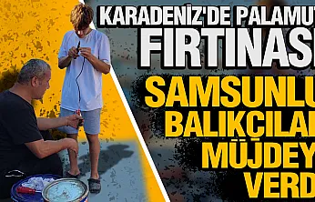 Karadeniz'de ağlar umutla atıldı: Samsunlu balıkçılar bu yıl palamuda doyuracak