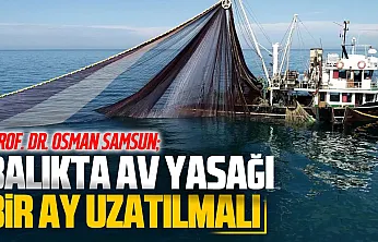 Karadeniz palamudunda erken avlanma tehlikesi
