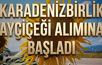 KaradenizBirlik bu sezon 35 bin ton ayçiçeği alımı hedefliyor