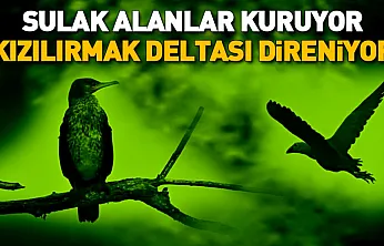 Kızılırmak Deltası Zengin Biyoçeşitliliğiyle Dikkat Çekiyor