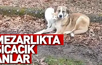 Mezarlıkta Sıcacık Anlar