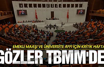 Milyonları ilgilendiren hafta! Emekli maaşı görüşülecek