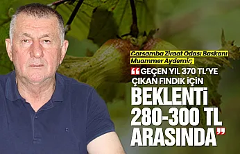 Muammer Aydemir, 'Fındıkta Fiyat Düşüşünün Faturasını Üretici Ödüyor'