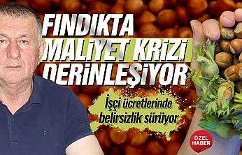Muammer Aydemir, 'Fındıkta maliyetler katlandı, işçi yevmiyeleri belirsizliğini koruyor'