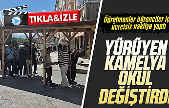 Öğretmenlerden takdir toplayan davranış: Okul'daki dayanıksız dev kamelyayı 200 metre taşıdılar!