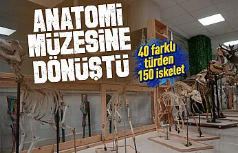 OMÜ Veteriner Fakültesinde Anatomi Müzesi açıldı