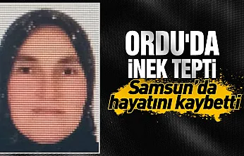 Ordu'da inek tepen kadın hayatını kaybetti