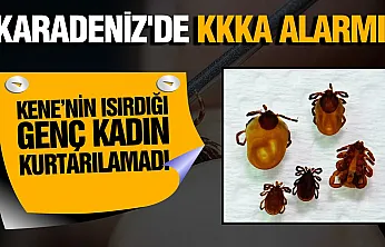 Ordu'da kene kabusu: KKKA virüsüne yakalanan 35 yaşındaki kadın hayatını kaybetti