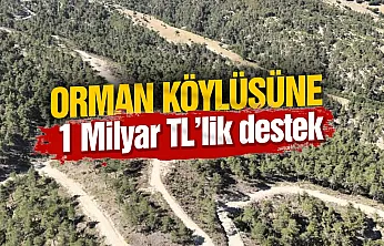 Orman köylülerine endüstriyel odundan 1 milyar TL'lik katkı