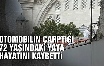 Fatsa'da otomobilin çarptığı yaya hayatını kaybetti