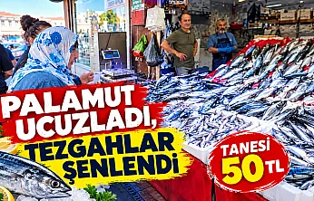 Palamutun tanesi 50 TL'ye düştü
