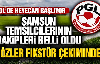 Profesyonelliğe Geçiş Ligi'nde fikstür tarihi ve gruplar belli oldu