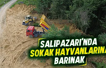 Salıpazarı'nda can dostlar için yuva: Bakım ve rehabilitasyon merkezinde sona doğru