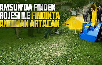 Samsun Atakum'da fındığın randımanın artıracak proje