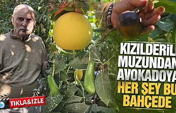Samsun Atakum'da tropikal bahçe: 100 çeşit ürün yetişiyor