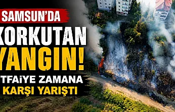 Samsun Canik'te korkutan anız yangını