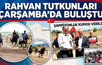 Samsun Çarşamba'da 63 at 7 kategoride kıyasıya yarıştı