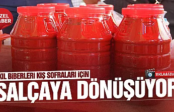 Samsun Çarşamba'da kıl biberinin salçaya dönüşü