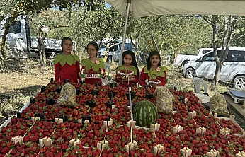 Samsun'da 3. Dürtmen Yaylası Çilek Festivali