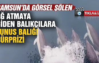 Samsun'da ağ atmaya giden balıkçılara yunus balığı sürprizi