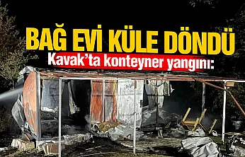 Samsun'da bağ evi olarak kullanılan konteyner küle döndü