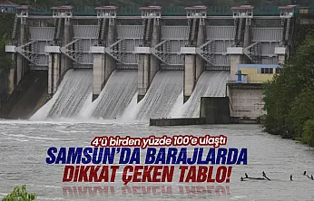 Samsun'da barajlar doldu, Çakmak Barajı yüzde 100'e ulaştı