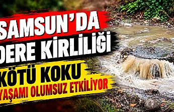 Samsun'da Baruthane Deresi'nde kötü koku tepkisi