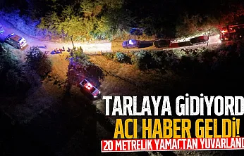 Samsun'da bir kişi yamaçtan yuvarlanarak yaşamını yitirdi