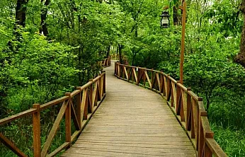 Samsun'da burası toprağa değmeden geziliyor : hafta sonu rotası 'Çakırlar'