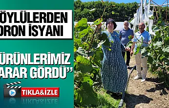 Samsun'da 'dron ile çeltik ilaçlaması' yine tartışma konusu