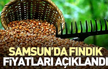 Samsun'da Fındık Fiyatları Açıklandı