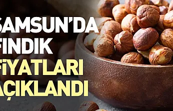 Samsun'da fındık fiyatları açıklandı