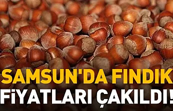 Samsun'da Fındık Fiyatları Çakıldı!