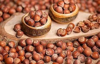 Samsun'da fındık fiyatları kabuğuna sığmıyor: İlçe İlçe Son Durum!