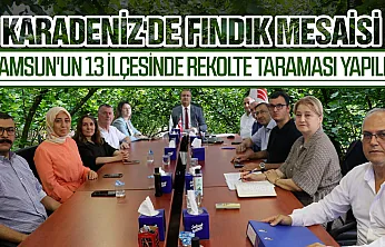 Samsun'da fındık mesaisi bitti: 2026 rekolte tahmini çalışmaları tamamlandı