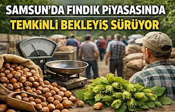 Samsun'da Fındık piyasasında temkinli bekleyiş sürüyor