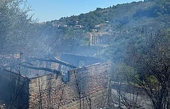 Samsun'da fındıklıkta korkutan yangın