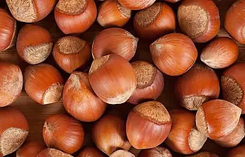 Samsun'da fındıkta 220 TL eşiği aşıldı : İlçelerde tablo yukarıyı gösteriyor