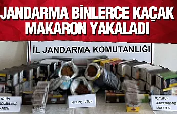Samsun'da kaçakçılık operasyonu: 8 bin 720 adet makaron ele geçirildi