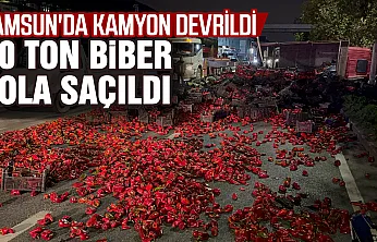 Samsun'da kapya biber yüklü kamyon devrildi, 10 ton biber yola saçıldı